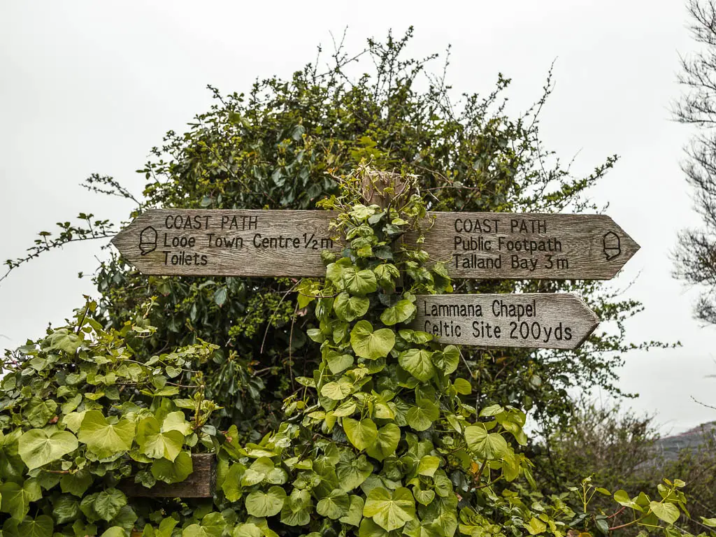Woodan coast path signage pointing left to Looe and right to Talland Bay on the walk towards Polperro. The sign is nestled in the green bush.