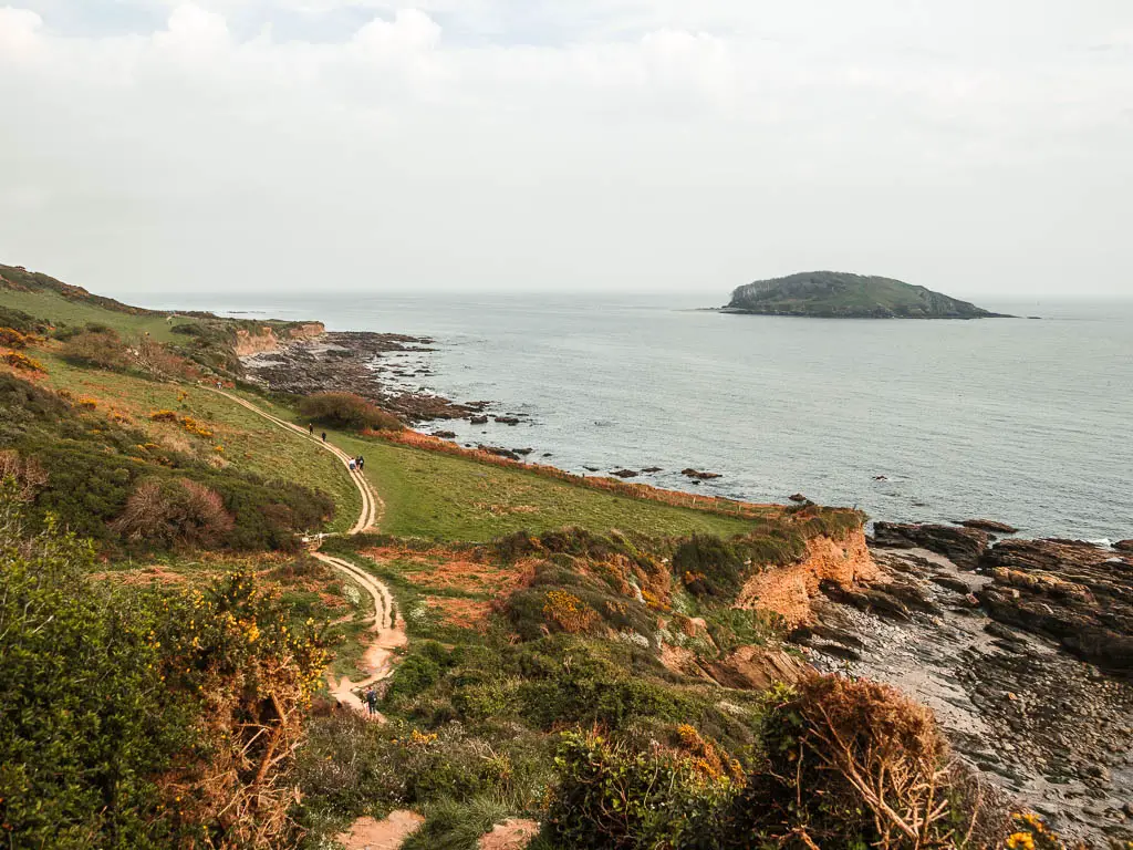 Looking down along the grassy hillside as it meats the sea on the walk from Looe to Polperro. There is a trail running across the grass with a few people visible on it in the distance. Looe island is visible out to sea on the right.