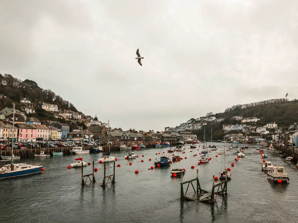 Looking across Looe harbour at the start of the walk to Polperro. It is a grey moody day. There are boats lined up moored in the water and a seagull flying across the sky.