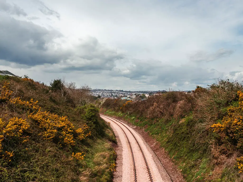 Looking down and along the railway line on the coastal walk to Brixham from Paignton. The track curves to the left and has grass backs on either side with yellow flowers.