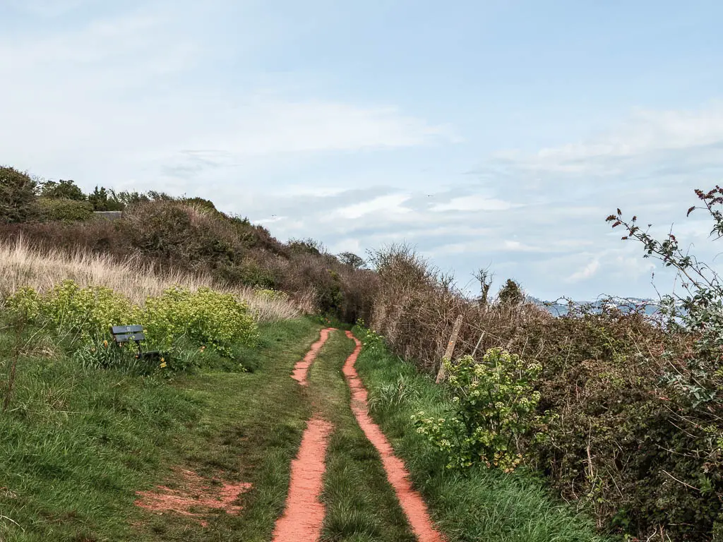 Two lines of narrow trail through the grass leading to bushes ahead. 