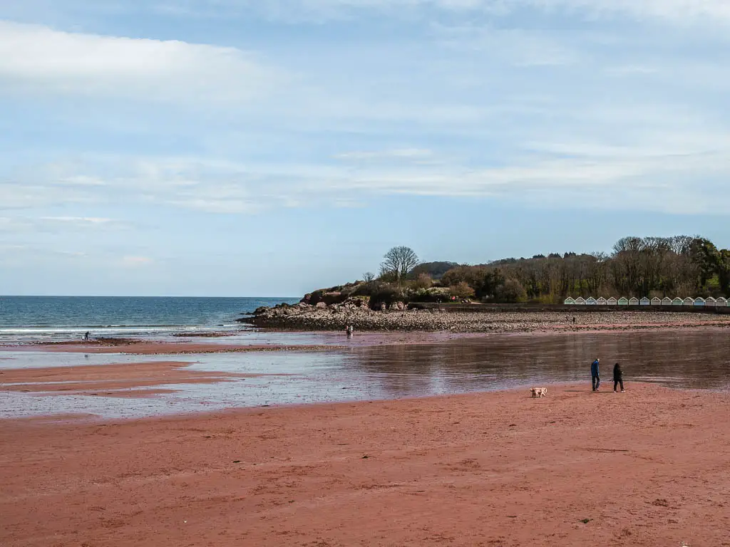 The red sandy Broadsands beach and a couple of people and their dog walking on it.