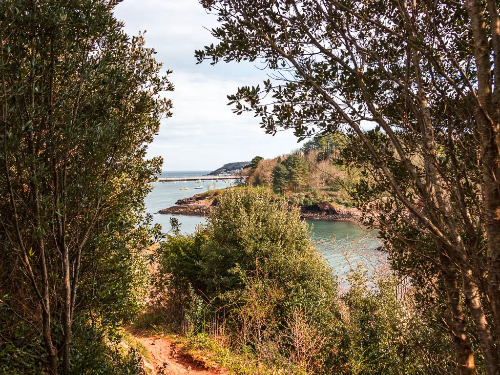 Looking through and opening in the trees towards the blue sea and some boats in the distance near the end of the coastal walk from Paignton to Brixham.