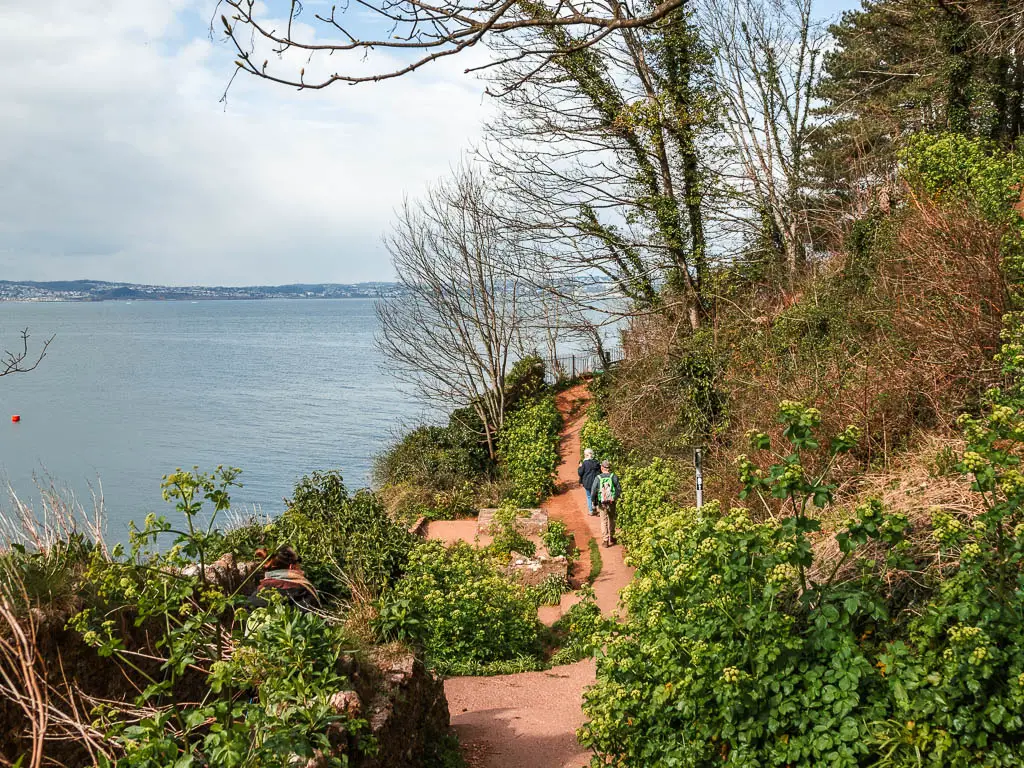 A small trail leading down with bushes of hogweed at different pints along it. There are a couple of people walking on the trail. The sea is ahead to the left.