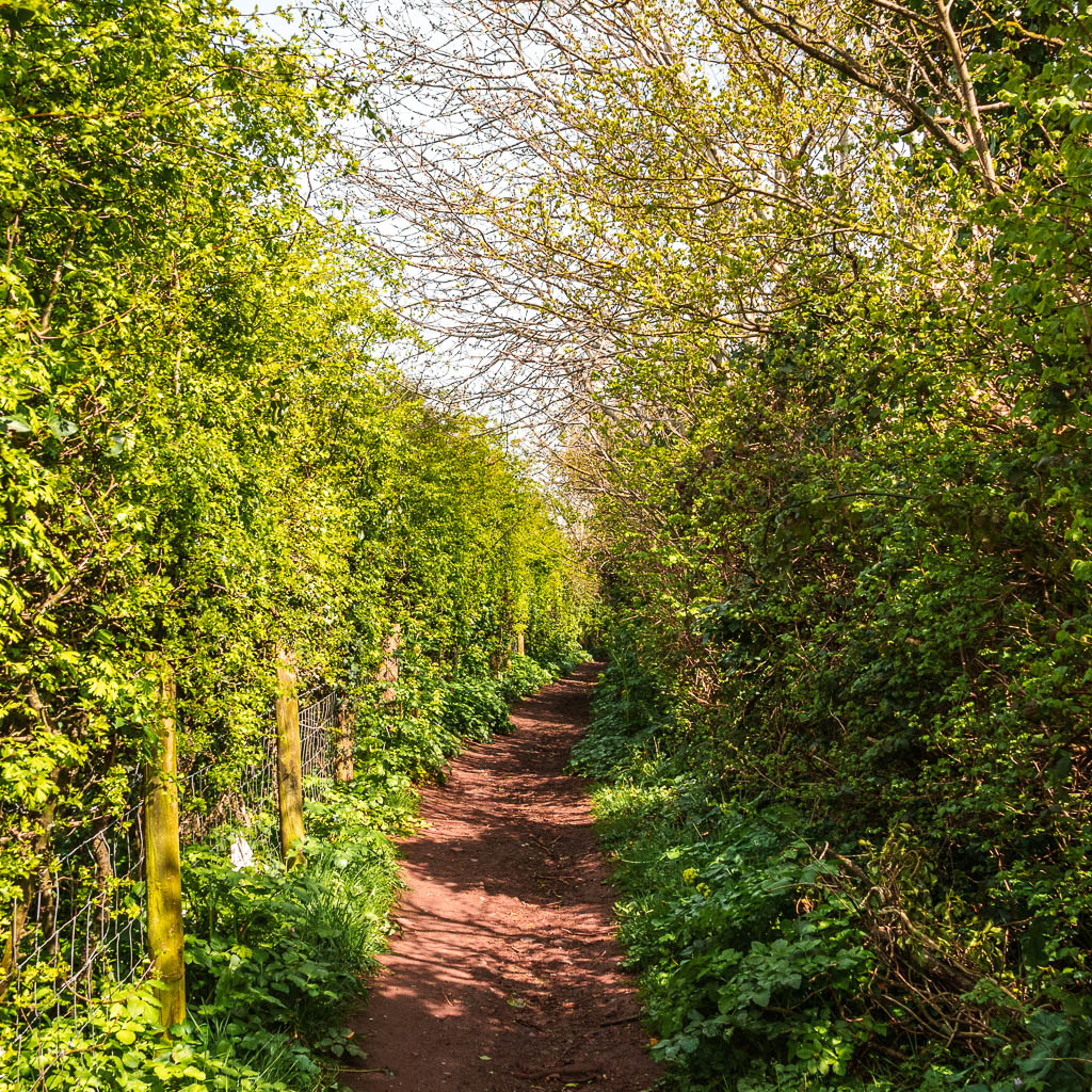 Teignmouth To Dawlish Railway Walk Guide She walks in England