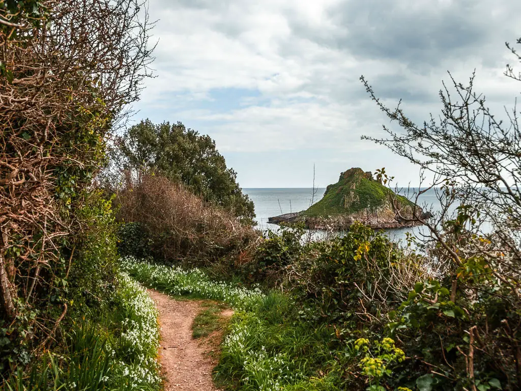A small pretty flower lined trail, with a view out to sea and a large sea rock, on one of the best walks in Torquay, near Brixham.