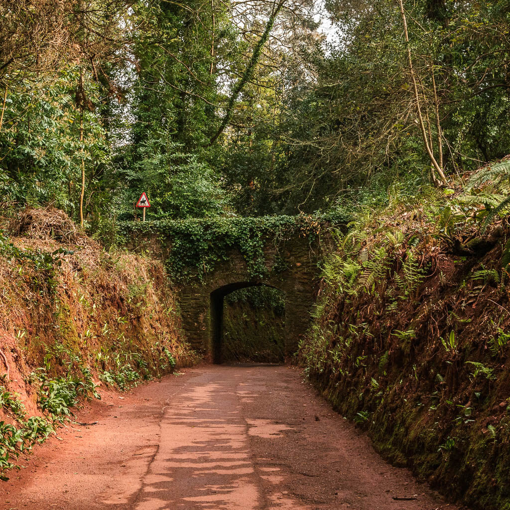 A wide path leading down towards and under a stone bridge. 