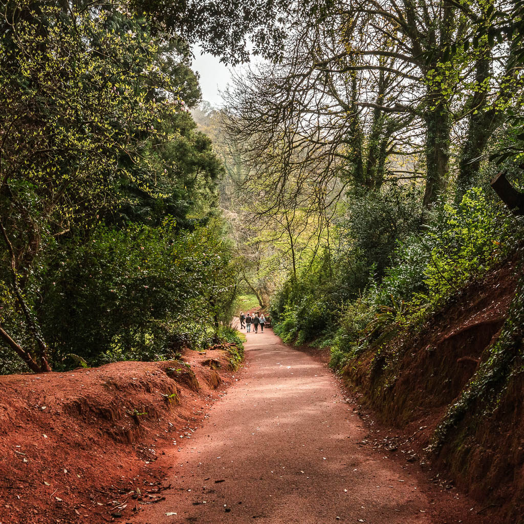 A wide path leading downhill, with dirt banks on either side.