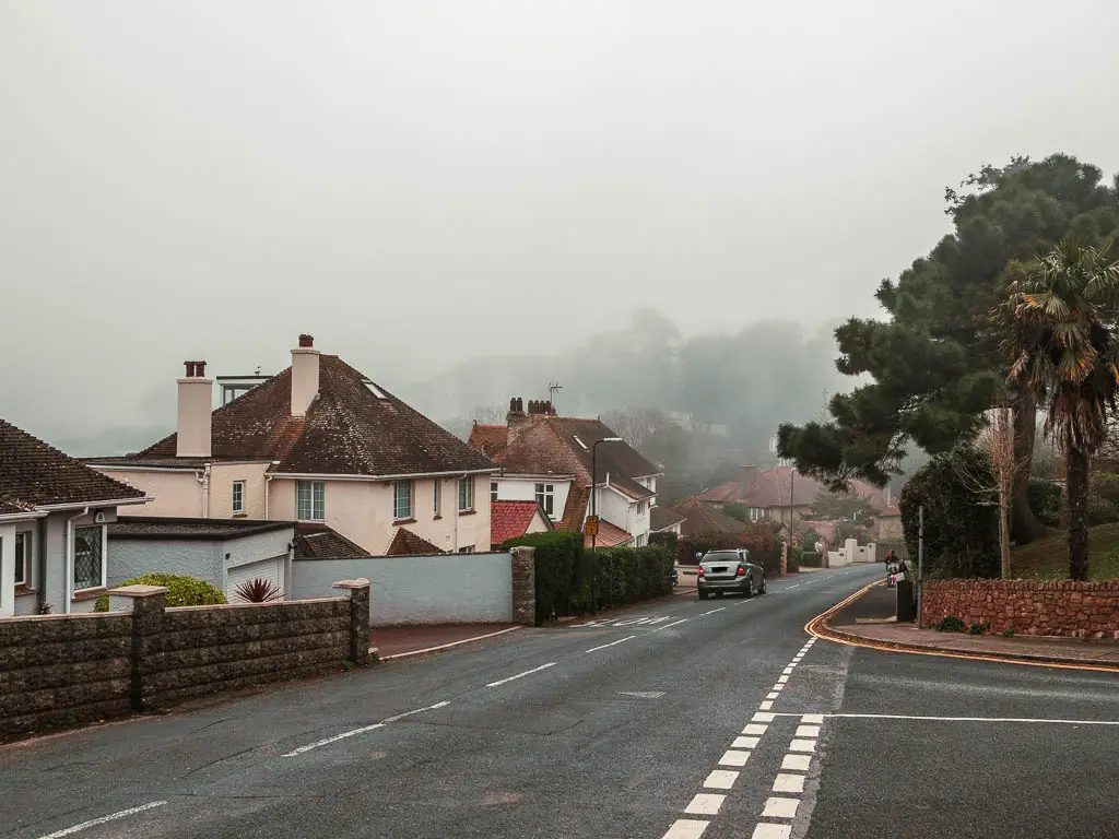 A residential street lined with houses on a foggy day.