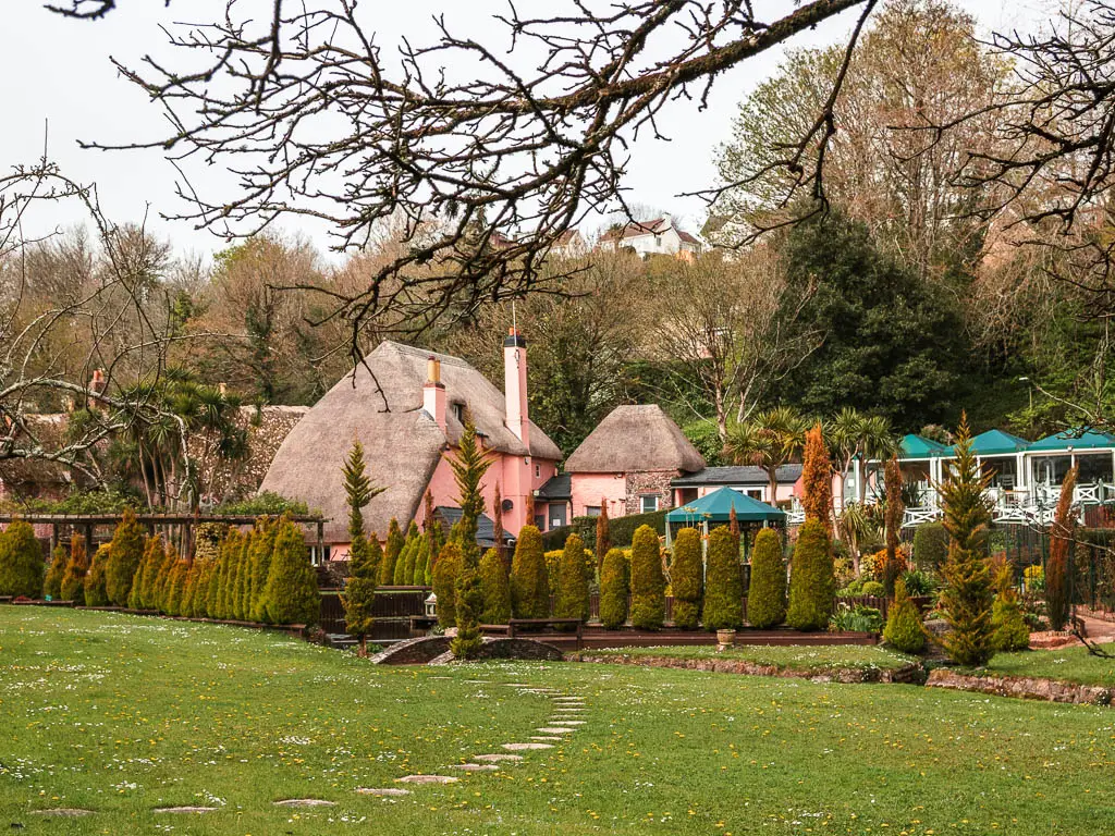 Looking across the short cute grass lawn to a pink thatched roofed cottage on the other side in Cockington, on the walk from Torquay.