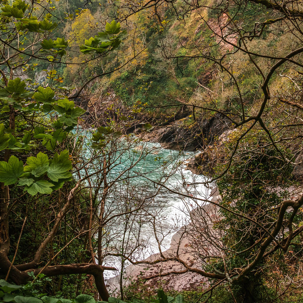 Looking through the tree branches to a small beach cove along the Dartmouth to Blackpool Sands walk.