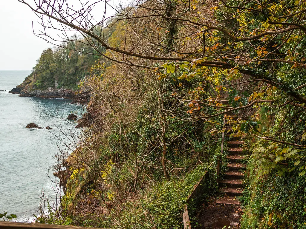 Steps leading up the cliffside on the right, with the sea to the left, along the walk from Looking through the tree branches to a small beach cove along the Dartmouth to Blackpool Sands.