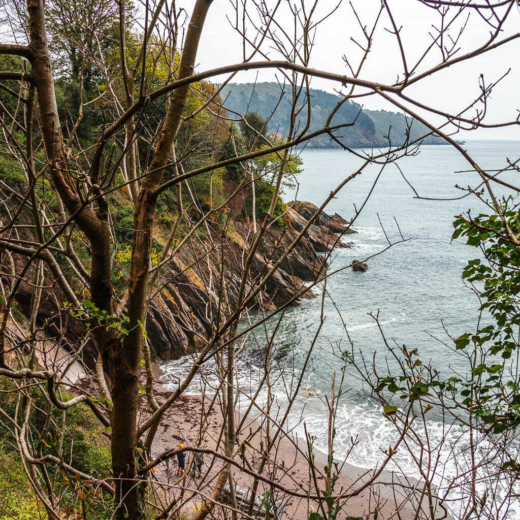 Looking through the tree branches to some rugged cliffs surrounding a small beach cove along the Dartmouth to Blackpool Sands walk.