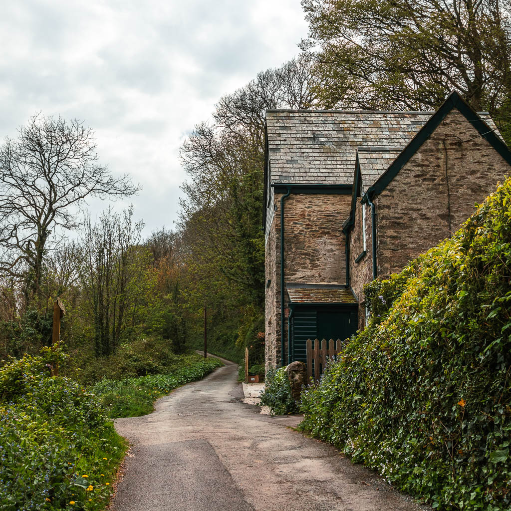 A road with a tall hedge and flint house on the right.