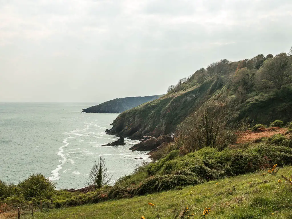 Looking down the grass hill to the rugged cliff coastline ahead on the right, on the coastal walk from Dartmouth to Blackpool Sands.