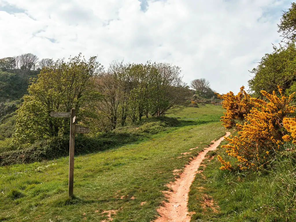 A narrow trail winding uphill on the right, with a wooden trail signpost on the left.