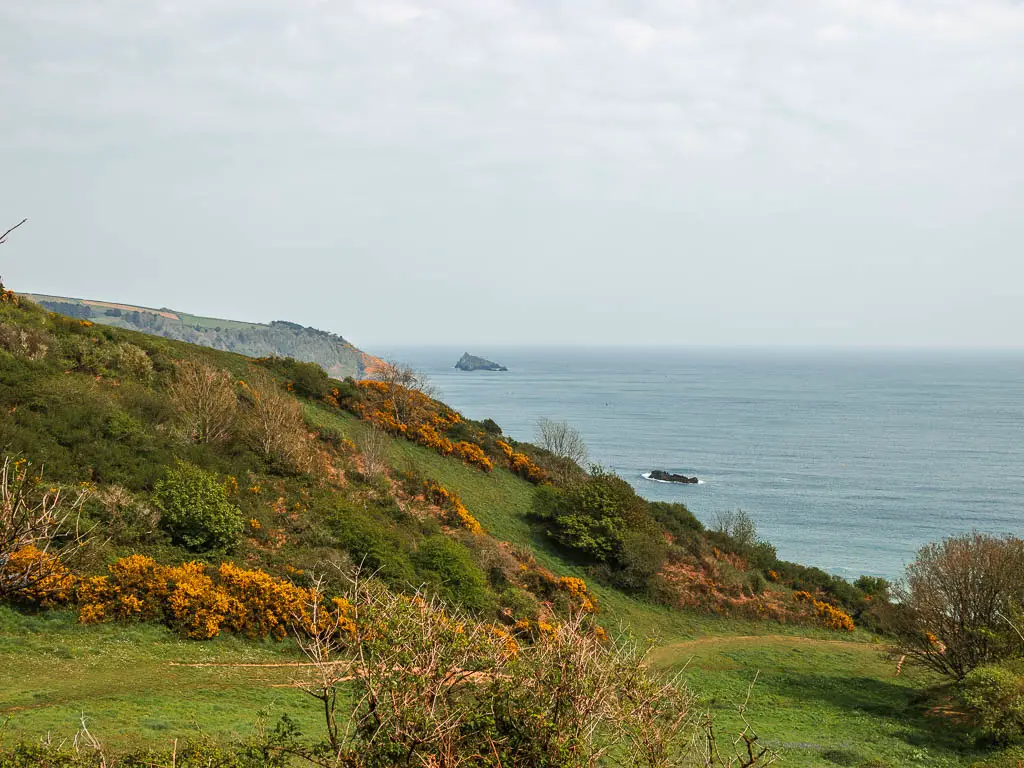 Looking along the undulating hillside as it leads down to the sea on the right, along the coastal walk from Dartmouth to Blackpool Sands. There are bushes and gorse on the hill and a sea rock in the distance. 