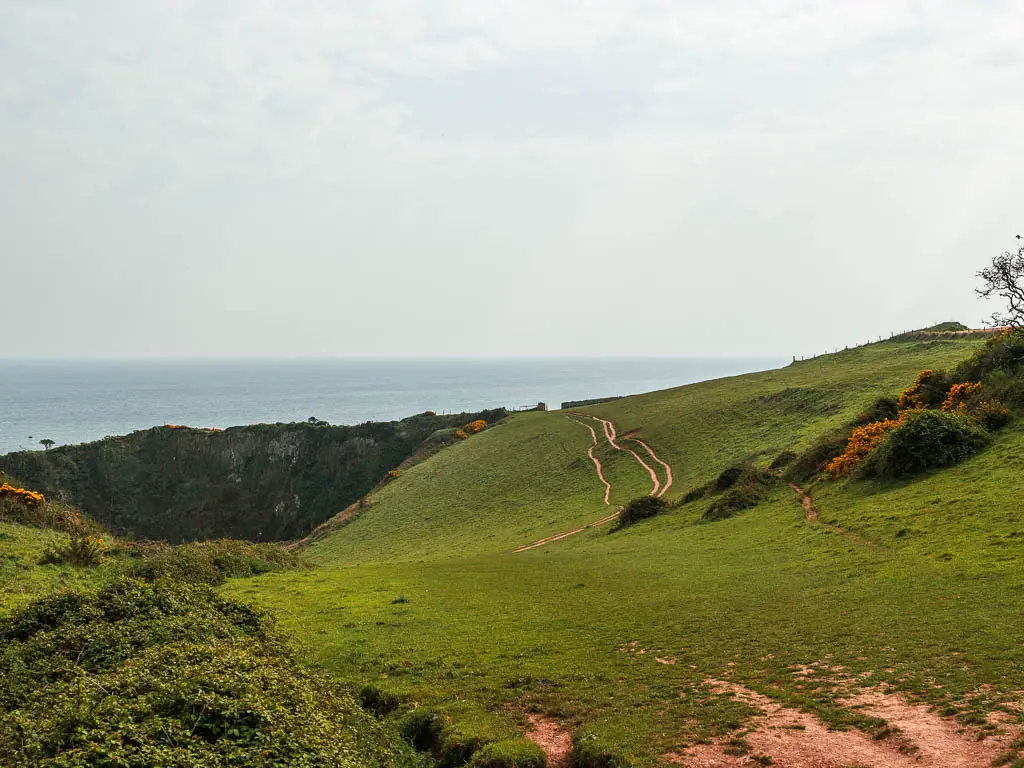 An undulating hillside with a trail snaking along it.