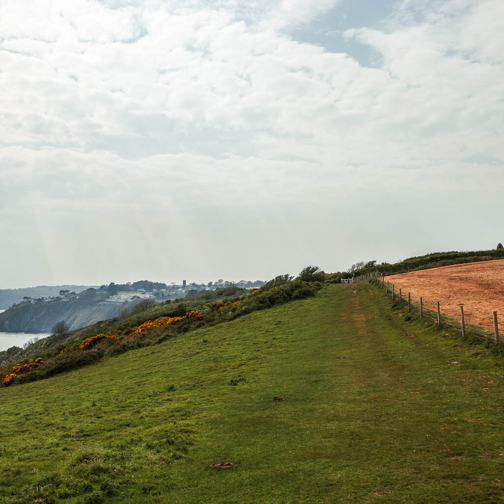 A long wide grass trail with a barbed wire fence and crop field to the right. 