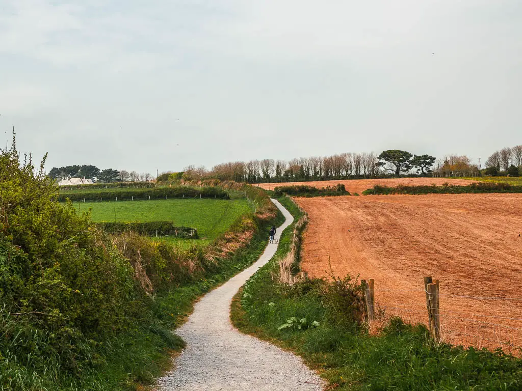 A gravel trail winding uphill along the walk from Dartmouth to Blackpool Sands. There is an orange crop field to the right and a green grass field to the left. There is a person walking ahead on the trail.