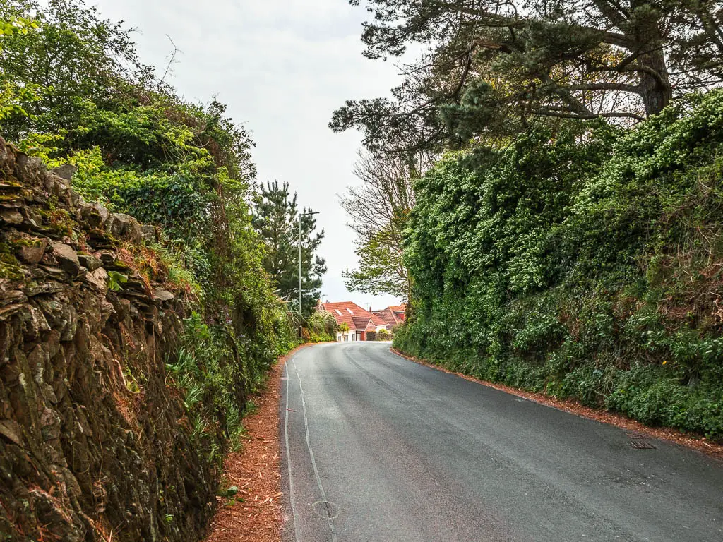 A road with a stone wall on the left and tall hedge on the right, and some rooftops visible ahead.