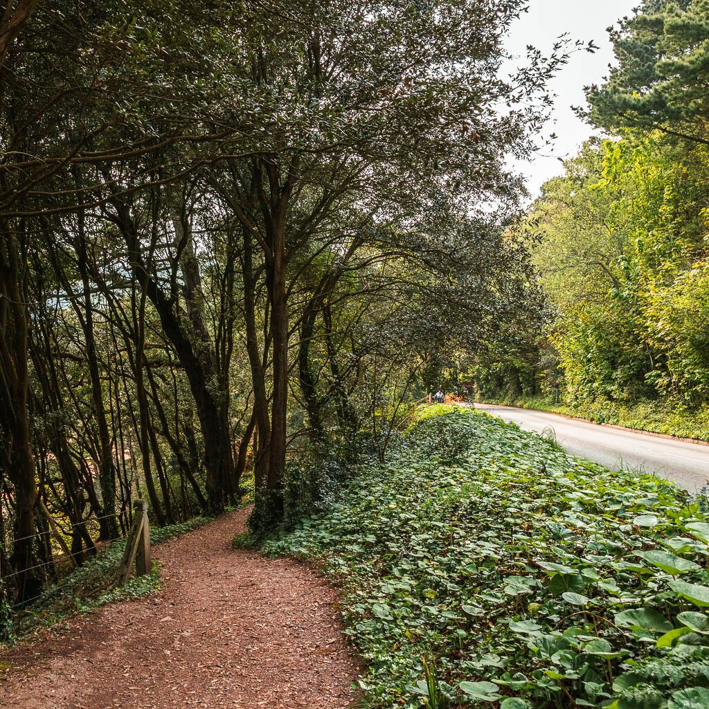 A dirt trail on the left, leading through the trees, with the road out on the right.