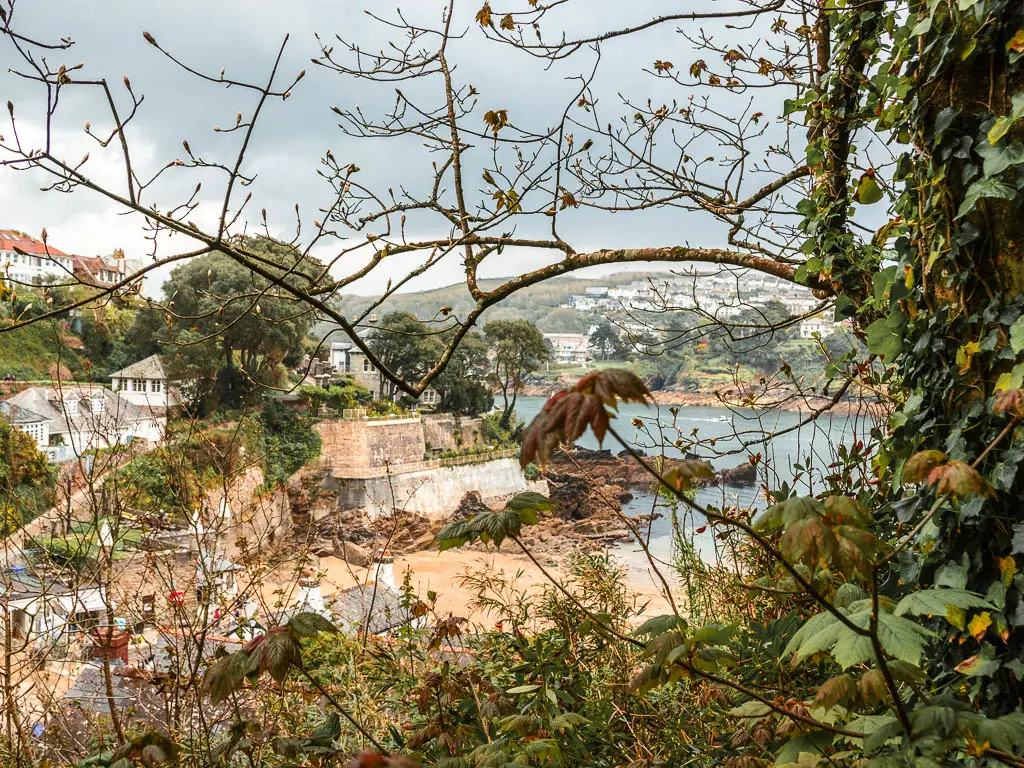 Looking through the branches down to a beach in Fowey, and the end of the walk from Par.