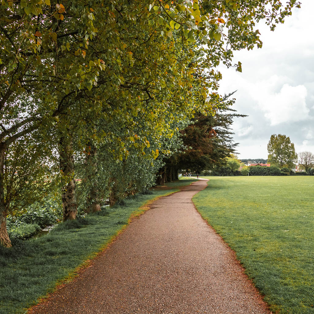 A wide path with a neatly cute green field on the right and a row of trees on the left.