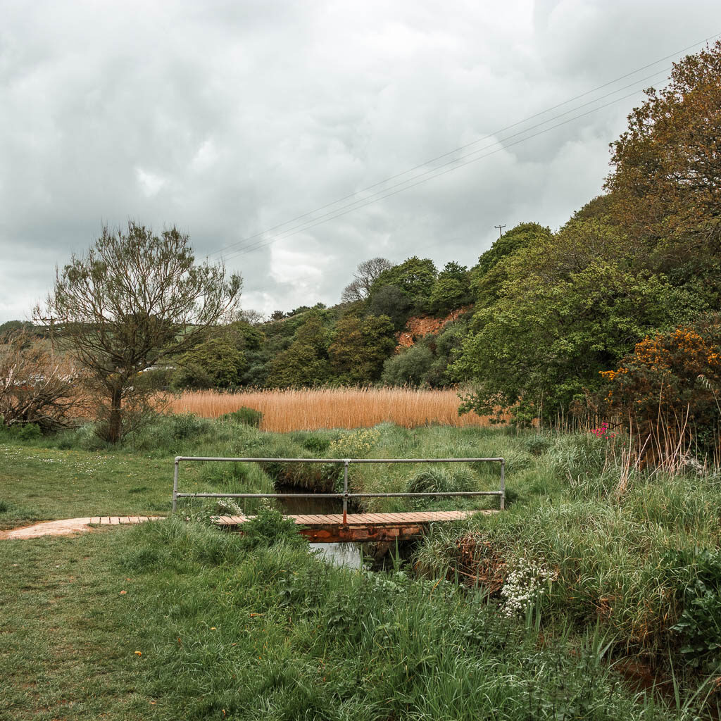 A small footbridge over the stream, surrounded by lots of grass. 