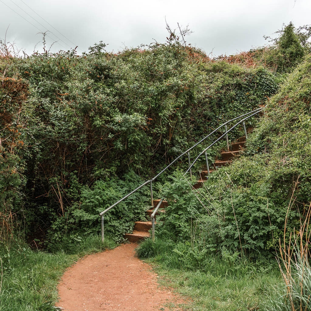 Steps leading up, surrounded by lots of green bushes.