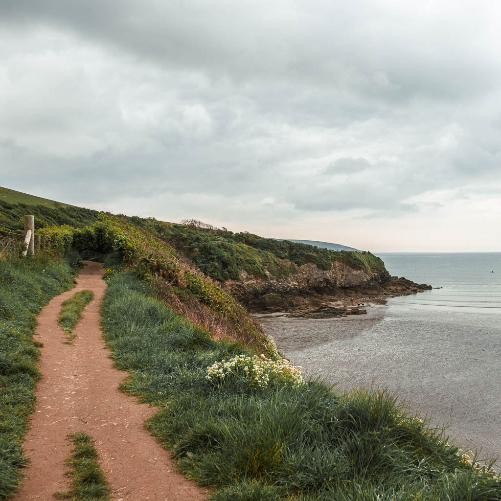 The trail on the left, with the cliff and sea to the right on the coastal walk from Par to Fowey.