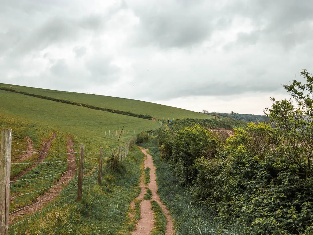 A narrow dirt trail with a barbed wire fence and hill field to the left and bushes to the right.