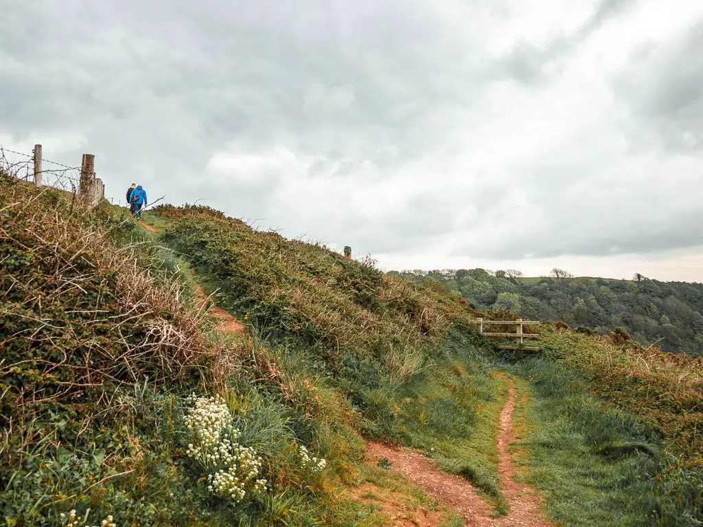 A dirt trail split, with the right one going straight ahead, and the left one going uphill. There is a person wearing a blue coat at the top of the trial on the hill.