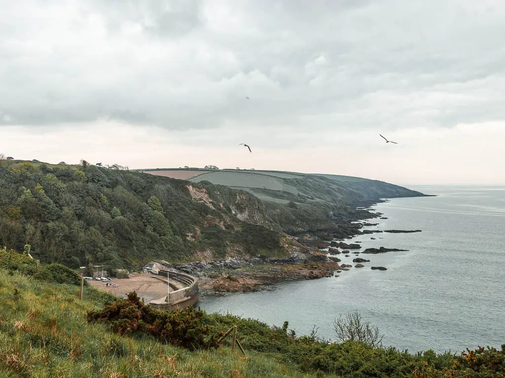 Looking down the coastline to the cove of Polkaris, on the coastal walk from Par to Fowey. There are a couple of large birds flying.