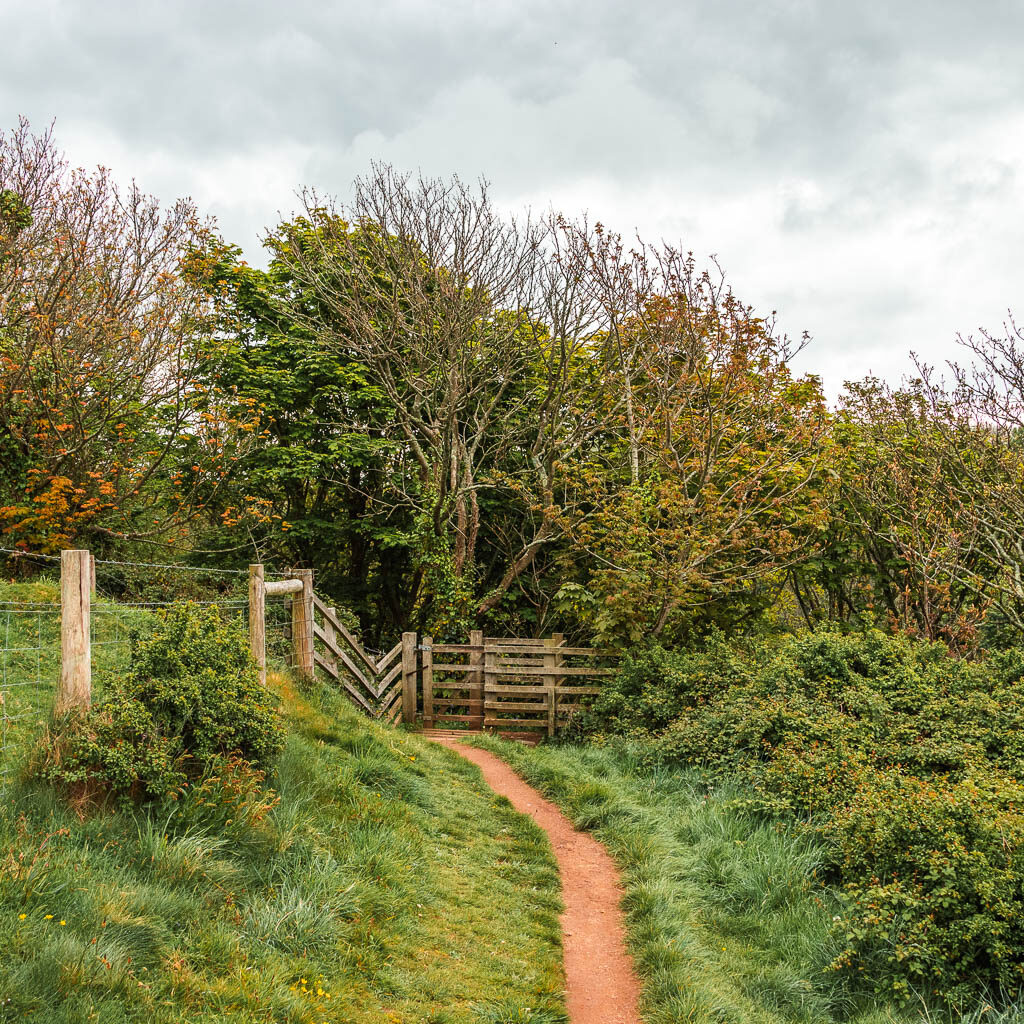 A narrow trail leading towards a wooden gate and trees.