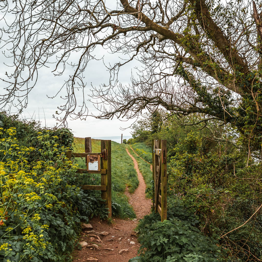 An open wooden gate leading into a field.