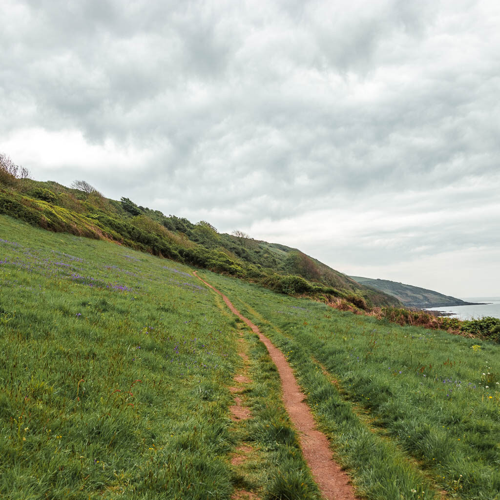 A narrow dirt trial leading across the grass hillside.