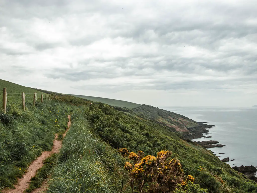 A narrow dirt trail on the left with a steep drop down the right towards the sea, along the coastal walk from Par to Fowey.