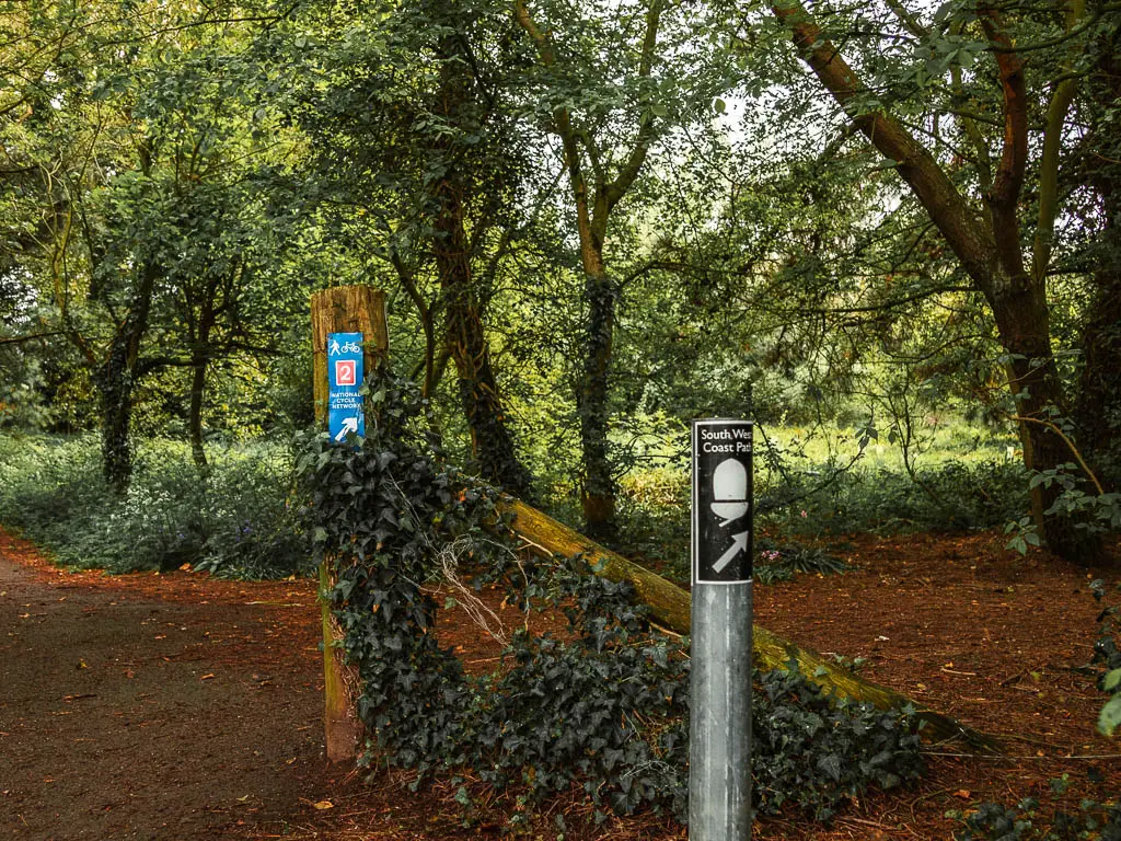 A metal pole with a black and white south west coast path acorn sticker in the woodland.