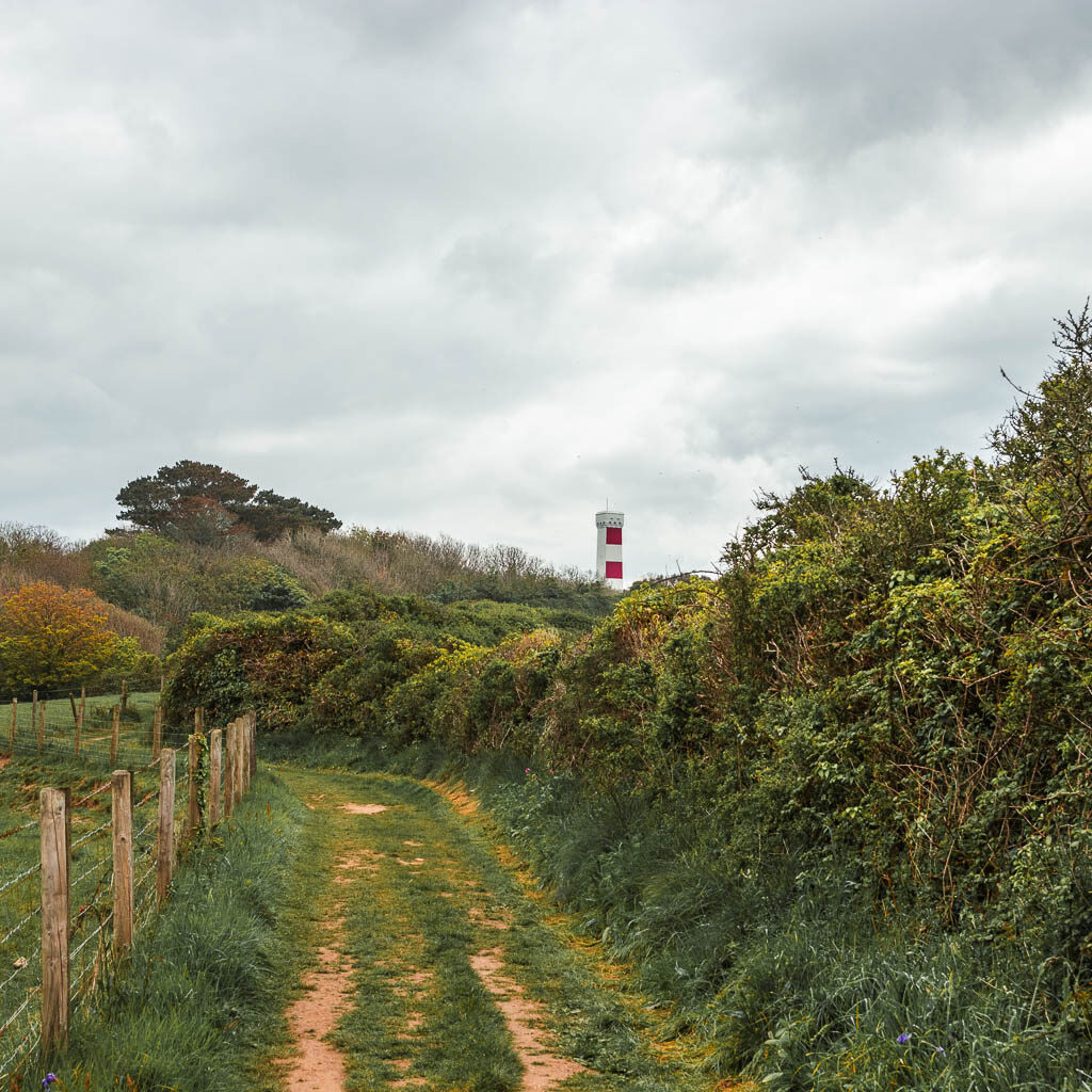 A grassy dirt trail with a hedge to the right and fence to the left, with the red and white stripped Gribbin Head Daymark peaking over the tops of the bushes ahead. 