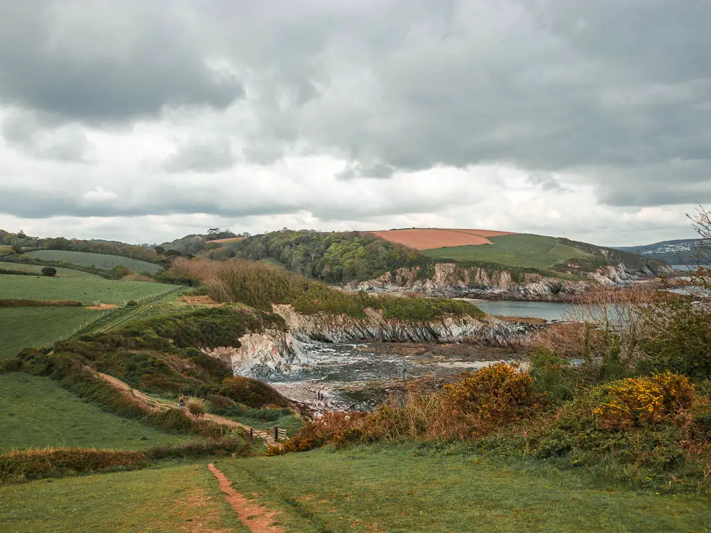 Looking down the grass hill towards a series of coastline coves ahead on the walk from Gribbin Head to Fowey.