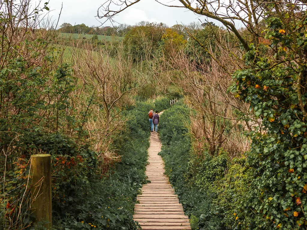 A wooden plank type footpath surrounded by grass, bushes and trees. There are a couple of people walking on it ahead.