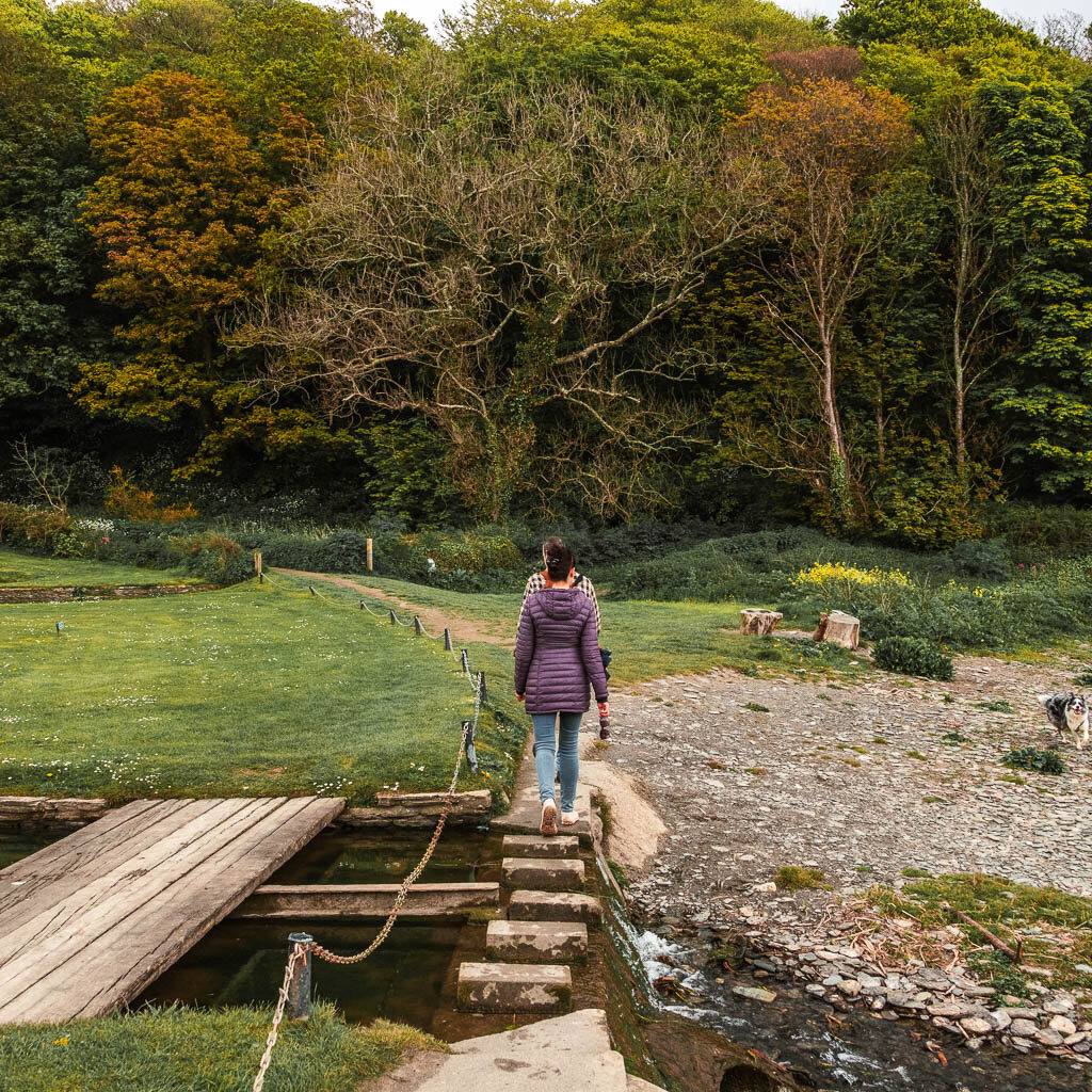 Stepping stones with a fields to the left, a stoney beach to the right and trees ahead. There is a woman wearing a purple jacket walking across the stepping stones.