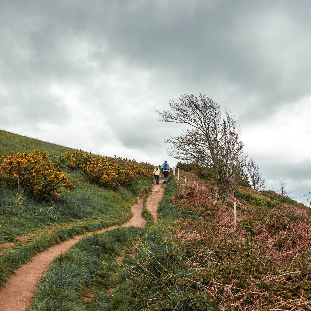 A dirt trail leading up the tall grass covered hill, with some gorse on the left and some people on the trail ahead.