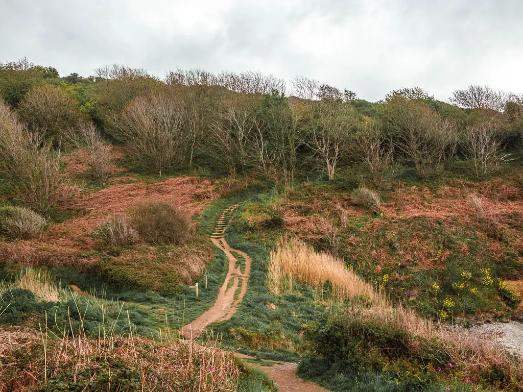 Looking down into the valley and the grass and bushes covered hill on the other side near the end of the coastal walk from Par to Fowey. There is a trail running across the hill on the other side and trees on top of the hill.