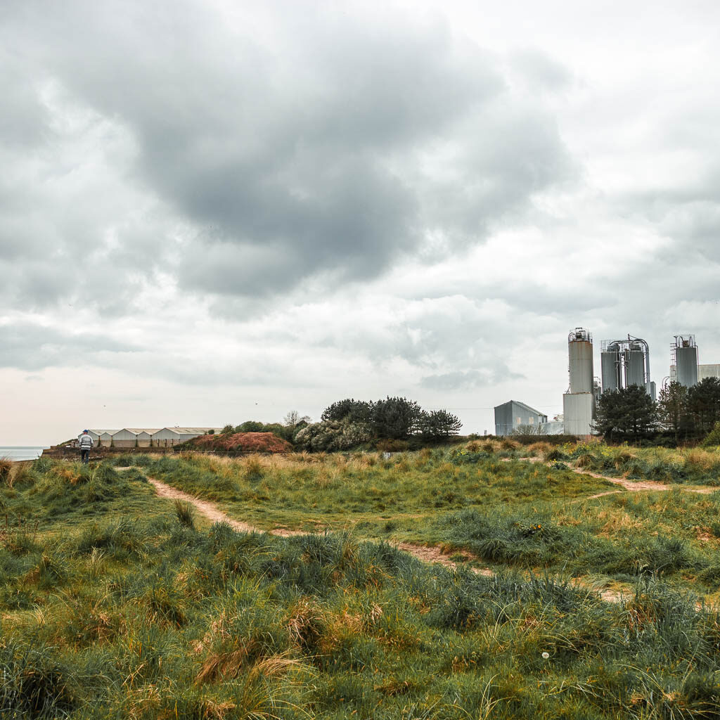 Looking across the grass to the tall industrial buildngs in the distance. 