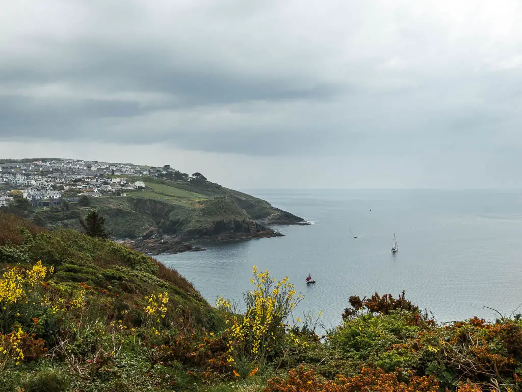 Looking over the bushes with yellow and orange flowers to the sea on the other side near the end of the Par to Fowey Coastal walk. Polruan Peninsular is across the water. 