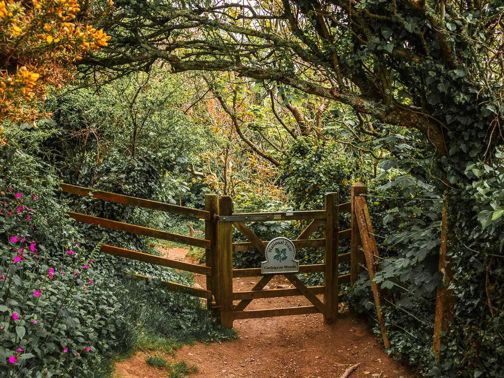 A wooden gate with a National Trust sign, surrounded by lots of bushes, trees and some pick flowers. 