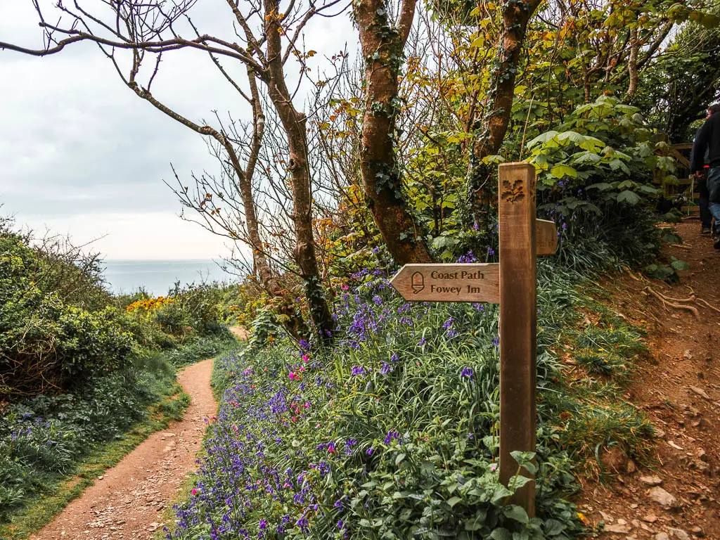 A wooden trail sign post at a junction pointing to the coast path and Fowey, near then end of the walk from Par. There are lots of bluebells in the grass at the junction. 