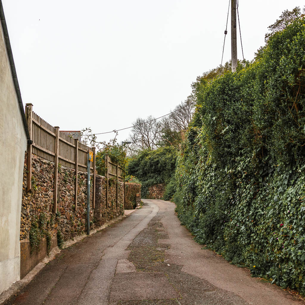 A road with a stone wall on the left and a tall green hedge on the right.